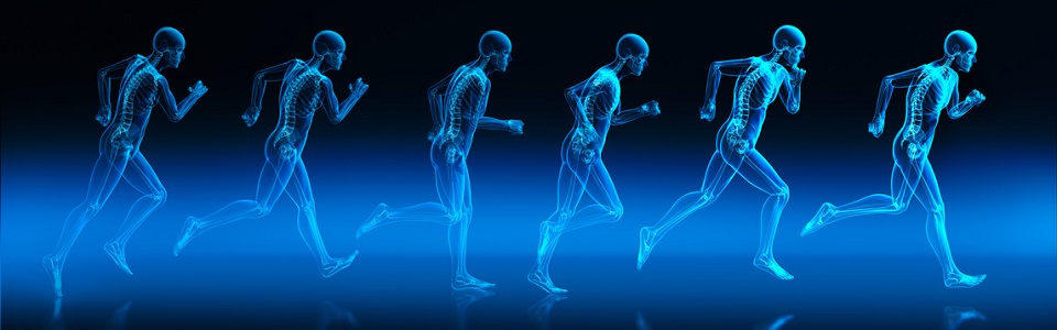 Les activités posturo-cinétiques (APC) concernent tous mouvements passifs ou actifs du corps